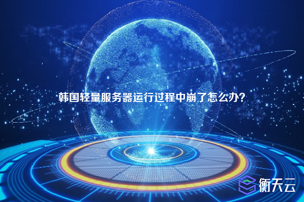 韩国轻量服务器运行过程中崩了怎么办？