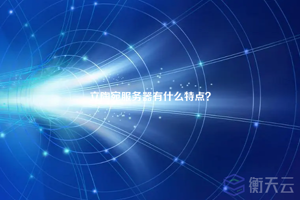 立陶宛服务器有什么特点?