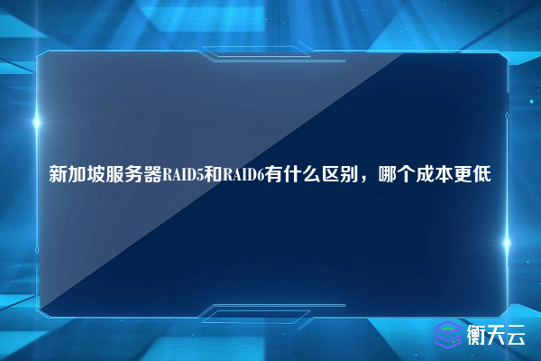 新加坡服务器RAID5和RAID6有什么区别,哪个成本更低
